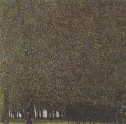 Gustav Klimt The Park (mk20) oil painting picture wholesale